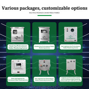 Bouilloire <span class=keywords><strong>de</strong></span> réaction Chaudière à brouillard acide à oxygène <span class=keywords><strong>Gaz</strong></span> <span class=keywords><strong>de</strong></span> combustion RTO Système <span class=keywords><strong>de</strong></span> surveillance des émissions d'échappement Détecteur <span class=keywords><strong>de</strong></span> <span class=keywords><strong>gaz</strong></span> pour espace confiné - Product Image 5