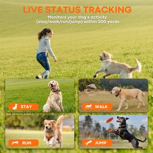 <span class=keywords><strong>Collar</strong></span> electrónico recargable para cerca de perro con GPS, <span class=keywords><strong>collar</strong></span> de entrenamiento remoto inalámbrico con correa virtual - Product Image 5