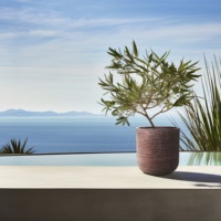 Mode oriental maison jardin décor planteur extérieur léger ciment pot béton pot de fleur fibre argile planteur pot