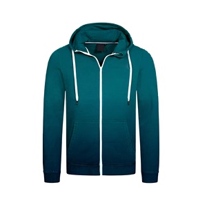 Sweat-shirt à capuche zippé pour homme, couleur unie, coupe décontractée, coton French Terry, vêtements d'automne - Product Image 1