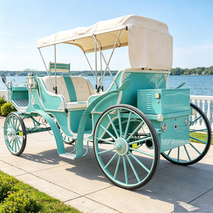 Chariot de tourisme royal personnalisable à cadre durable, traîné par des chevaux, pour sites touristiques, aménagement de mariages et spectacles en plein air - Product Image 1
