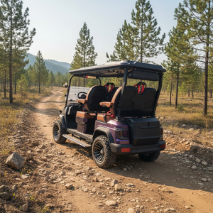 Voiture de <span class=keywords><strong>golf</strong></span> électrique tout-terrain puissante à <span class=keywords><strong>4</strong></span> places, charge rapide, design exclusif, buggy de <span class=keywords><strong>golf</strong></span> électrique <span class=keywords><strong>4</strong></span> places certifié CE - Product Image 3