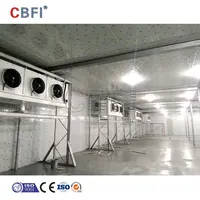 बड़ी इमारत परियोजना तापमान नियंत्रण फ्रीजर Polyurethane पैनल बड़ा ठंडे कमरे भंडारण संयंत्र