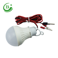 Ampoule LED 12W DC 12V de haute qualité, basse tension, économique, avec fils