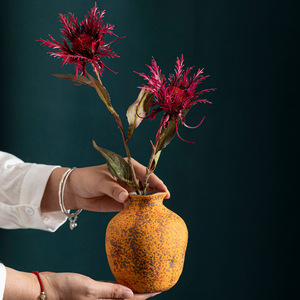 <span class=keywords><strong>Vaso</strong></span> <span class=keywords><strong>in</strong></span> Ceramica Stile Vintage Baopu per <span class=keywords><strong>Fiori</strong></span> Secchi, Decorazione per Soggiorno, Contenitore Idroponico Solo per Acqua - Product Image 3