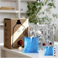 Sacs de recharge de savon liquide 5L avec tube de pompe sac de bavoir désinfectant pour les mains dans une boîte emballage de liquide détergent en plastique