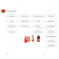 Ligne de Production pour la Fabrication de Machine à Pâte, Purée, Pulpe, Jus, Sauce, Ketchup et Confiture de Tomate et Mangue, Prix d'Usine