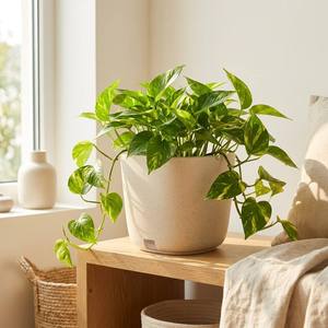 Pot de plante auto-arrosant à double couche avec trous d'aération des racines, pas d'arrosage quotidien pour les semis, les plantes fruitières et les plantes d'intérieur - Product Image 3