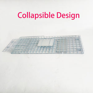 Piège à animaux vivants robuste et pliable pour chiens sauvages, renards, ratons laveurs, chats sauvages, lapins - Product Image 2