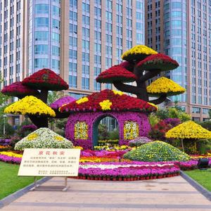 Jardinera Vertical de Pared, Macetas Colgantes en Forma de Bola - Product Image 1