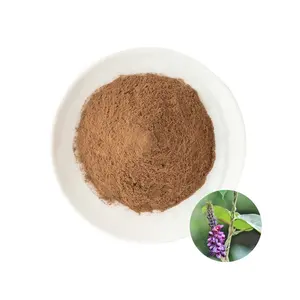 Estratto di radice di kudzu 40%-80% di alta qualità/estratto di pueraria mirifica isoflavone