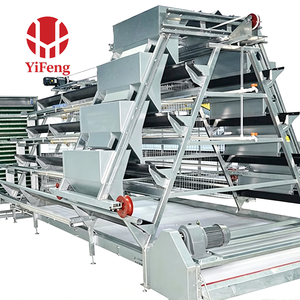 Nuevo Sistema <span class=keywords><strong>de</strong></span> Alimentación Automática para Jaulas <span class=keywords><strong>de</strong></span> Acero Galvanizado Tipo A, Equipo Comercial para Cría <span class=keywords><strong>de</strong></span> Pollos <span class=keywords><strong>de</strong></span> Corral - Product Image 5