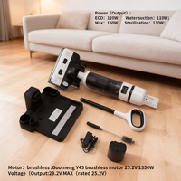 Aspirateur intelligent sans fil premium pour le nettoyage des poils d'animaux et des sols à la maison