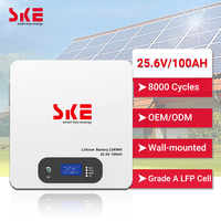 Sistem Penyimpanan Energi Rumah Tangga Terpisah SKE 25.6V 100Ah Baterai LiFePO4 2.5kWh 3kWh Terpasang di Dinding