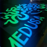 Lettres lumineuses LED 3D DakeSign à éclairage frontal, conception gratuite, étanches IP65, garantie 5 ans, panneau publicitaire lumineux OEM ODM