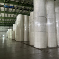 Rouleau mère de papier hygiénique en pâte de bois vierge, 2 plis, 17 g/m², Matières premières en rouleau jumbo