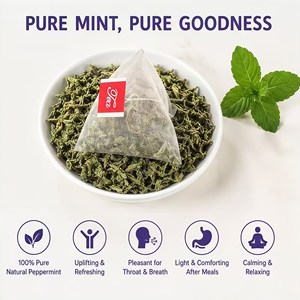 Tisane alla Menta Verde in Bustine Private Label 100% Biologica per il Supporto della Digestione, Alito Fresco e Aumento di Energia - Product Image 3