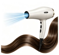 Sèche-cheveux professionnel à moteur AC 2400W, faible bruit, séchage rapide, pour salon, hôtel, extérieur, haute puissance, vente chaude