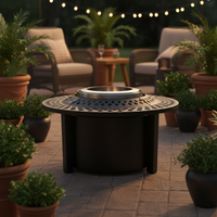 Foyer rond sans fumée à bois Camping Solo Fire Pit Portable pour extérieur intérieur