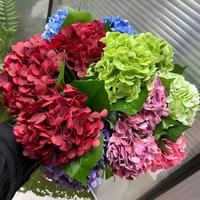 176 Pièces de Fleurs d'hortensia artificielles réalistes et hydratantes pour la décoration intérieure, les arrangements floraux et les décors de mariage - Vente en gros