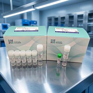 Kit de Disociación de Médula Espinal Baiaoyikang - Preparación de Células Individuales de Alta Viabilidad (10T) - Product Image 1