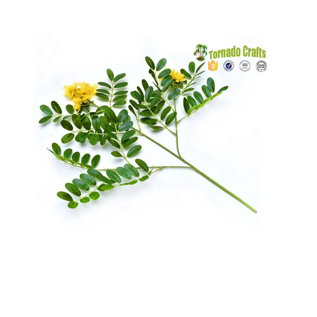 인공 메뚜기 나무 잎 Sophora japonicus 플라스틱 꽃 banyan 가지 녹색 식물 잎