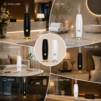 Diffuseur d'arômes sans eau, diffuseur de parfum, diffuseur de senteurs 50 ml pour la maison, la chambre à coucher, le salon