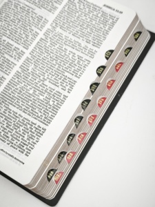 Sainte Bible Nouvelle Version Internationale Couverture souple Reliure cousue Papier offset - Product Image 4
