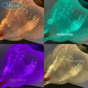 Kit de Lumières Fibre Optique pour Plafond Étoilé avec Télécommande, Kit Moteur Lumineux Fibre Optique RGBW 10W à Double Port pour Voiture/Maison Effet Ciel Étoilé - Product Image 3