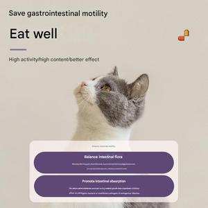 Integratore Nutrizionale Liquido per Animali Domestici, Migliora Diarrea e Vomito in Cani e <span class=keywords><strong>Gatti</strong></span>, Rafforza la Resistenza Gastrointestinale - Product Image 4