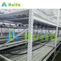 Système d'agriculture verticale mobile SINO AGRI, grande ferme intérieure, culture hydroponique de fraises, éclairage LED, taille personnalisable