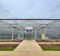 Serre en film multi-chapelles pour fraises, système hydroponique, projet clé en main
