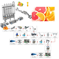 Professionele fabrieksdirecte verkoop zware multifunctionele industriële sinaasappel- en citrussapcentrifuge