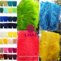 Plumes d'autruche naturelles roses vif, moelleuses, de qualité sélectionnée, 60-65 cm, pour centres de table de mariage, événements, décorations de carnaval, vente en gros