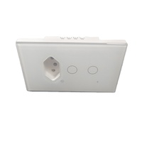 Prise murale intelligente Wellsdiy WiFi avec panneau en verre trempé brésilien, interrupteur mural 2 voies, contrôle vocal et minuterie via l'application Tuya