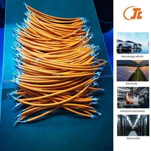 高压端子线束 蓄能连接器电缆组件 用于电池电源系统的电池连接电缆 - Product Image 1