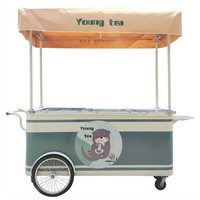 Tricycle électrique 3 roues pour barbecue, glace, hot-dog, chariot de nourriture, chariot à vélo réfrigéré