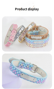 <span class=keywords><strong>Collier</strong></span> <span class=keywords><strong>personnalisé</strong></span> de luxe pour chien <span class=keywords><strong>collier</strong></span> avec plaque en acier - Product Image 6