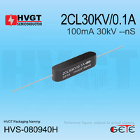 Ensemble redresseur en silicium haute tension HVGT 2CL30KV/0.1A 100mA 30KV basse fréquence