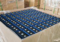 Sel Baterai Lifepo4 Prismatic CALB L173F314 Kelas Unggulan 1004.8Wh 314Ah Densitas Energi Tinggi untuk Penyimpanan Energi Grid
