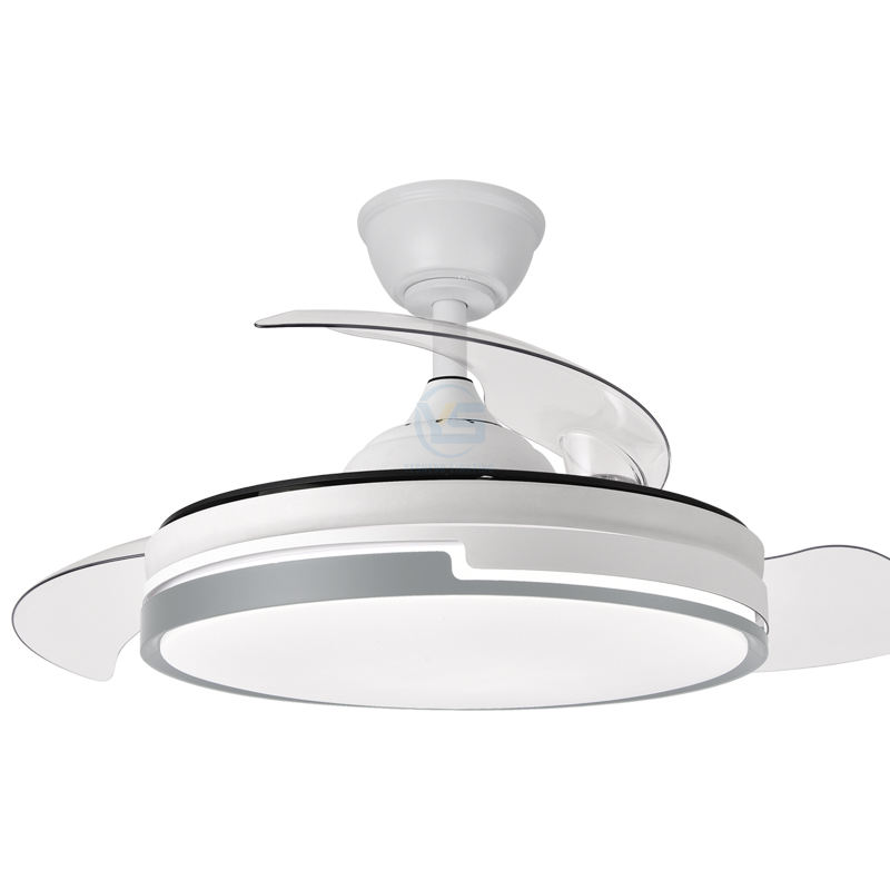 ขาว + เทา