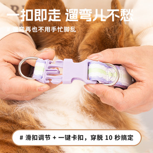 Collar para perro, collar para perro pequeño Teddy Bichon Frise, correa para mascotas, collar para perro de tamaño mediano Corgi Shiba Inu - Product Image 5