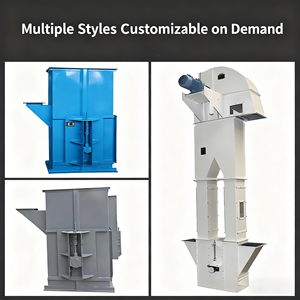 Lift keranjang gandum-pengangkut beras/gandum kapasitas tinggi & hemat energi untuk pengolahan gandum - Product Image 6