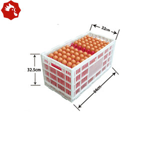 <span class=keywords><strong>ลัง</strong></span>ขนส่งอเนกประสงค์แบบพับได้ 360 ชิ้น ดีไซน์ประหยัดพื้นที่สำหรับการส่งคืนแบบเปล่า รองรับถาดไข่มาตรฐานสำหรับฟาร์มสัตว์ปีก - Product Image 5