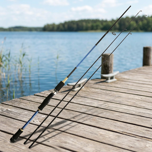 Canne à pêche en fibre de carbone 100-350g, 2 brins, puissance moyenne-lourde, avec anneaux Fuji, pour la pêche au jigging lent, pour carpe, brochet, bar, poisson-chat, et la pêche en bateau - Product Image 3