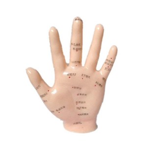 उच्च गुणवत्ता के लिए शिक्षण हाथ एक्यूपंक्चर मॉडल 13cm सीखने के छात्रों - Product Image 6