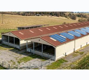 <span class=keywords><strong>Abri</strong></span> pour moutons, vaches et poulets en structure acier préfabriquée soudée, économique et durable, bâtiment agricole entièrement fermé pour l'élevage de chèvres et de bétail - Product Image 1