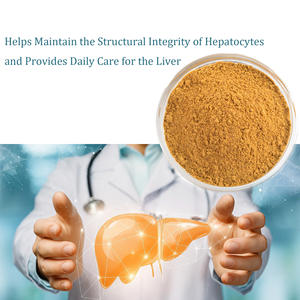 Пищевой натуральный экстракт чертополоха, экстракт силимарина, травяной порошок для поддержки печени и детоксикации, сертифицированный GMP - Product Image 3