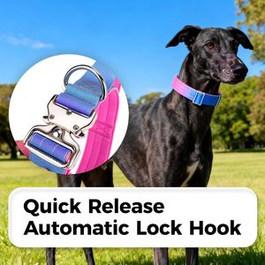 Custom Tactical Gradient Dog <b>Collar</b> Luxury Training Dog <b>Collar</b> <b>Leash</b> With Soft Padded for Dogs - Product Image 4