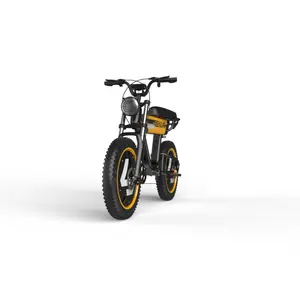 Wholesale 2024 New Model Electric Bicycle 20 Inch Vintage Retro Motorcycle Ebike 750W 1000W Fat Tire Electric Mountain Bike